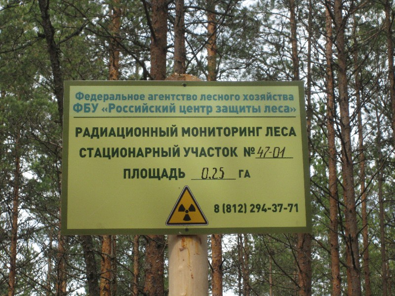 Отмета стационарного участка радиационного мониторинга